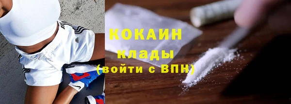 тгк Медвежьегорск