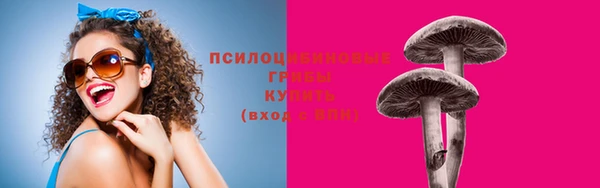 прущие крисы Медногорск