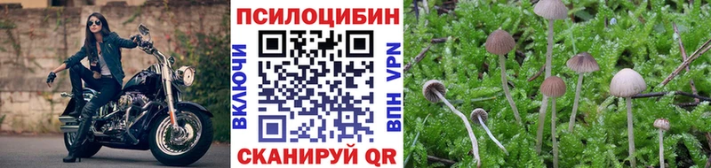Галлюциногенные грибы мицелий  Железногорск-Илимский 